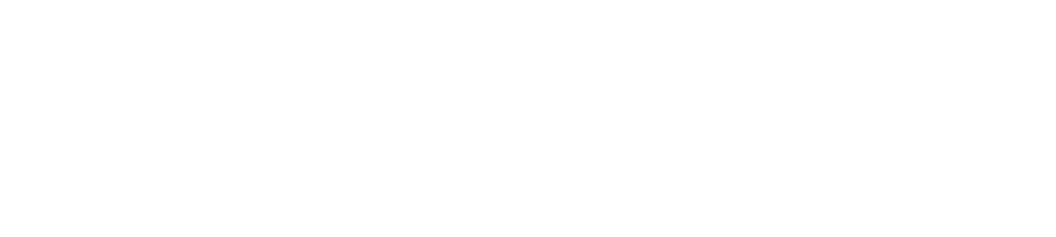 FEIGIN